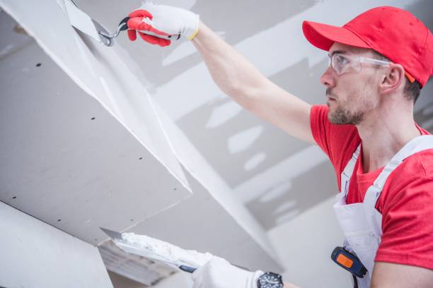 Best Drywall Installation  in Hebron, IL